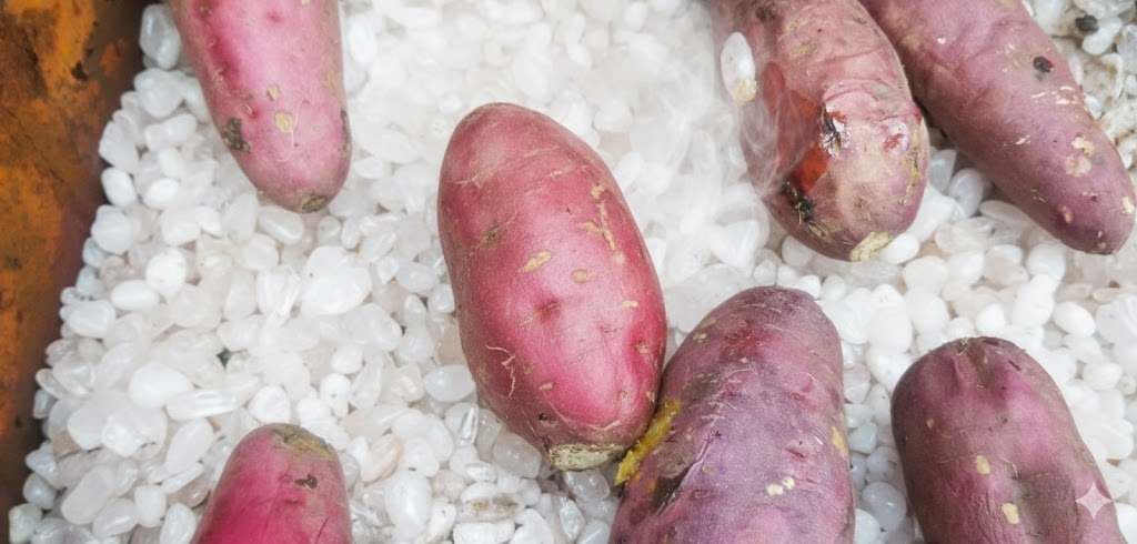 水晶やきいも | すーぱーかーやきいも