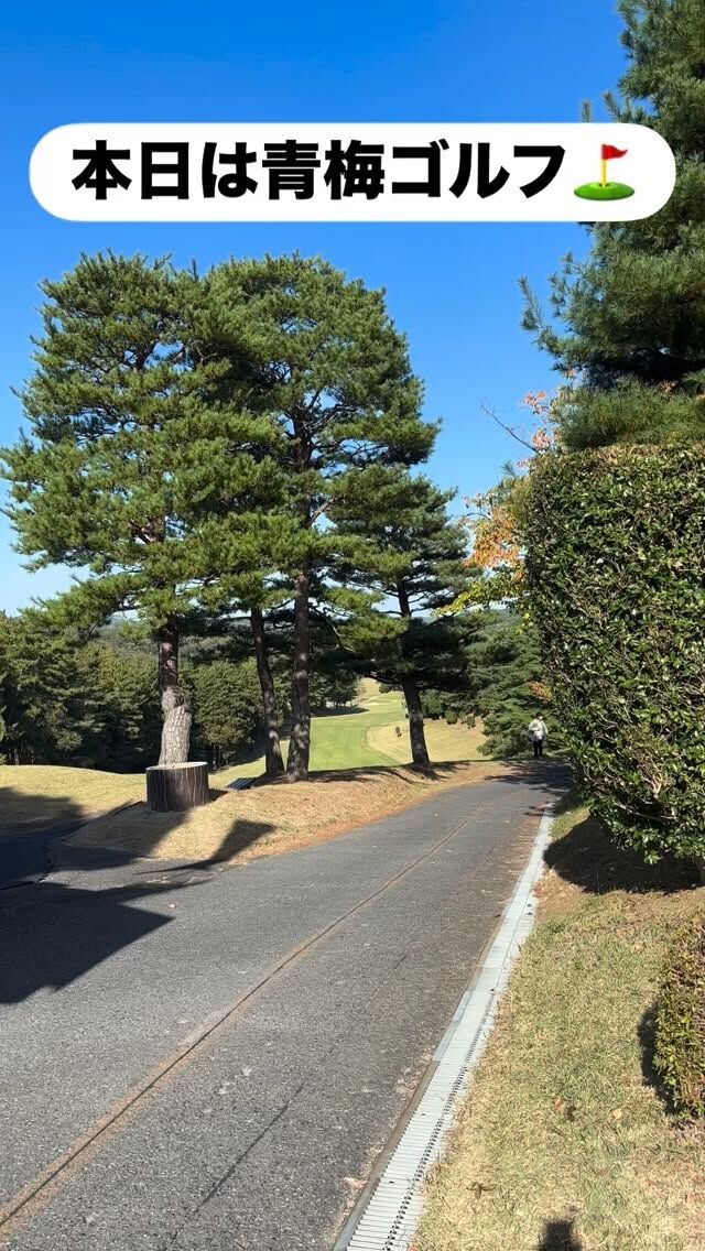 Instagram 投稿 17866147293416577